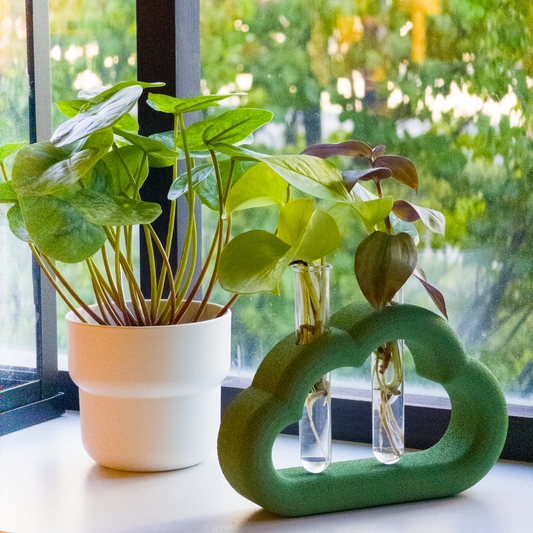 Cloud Series | Matcha Green